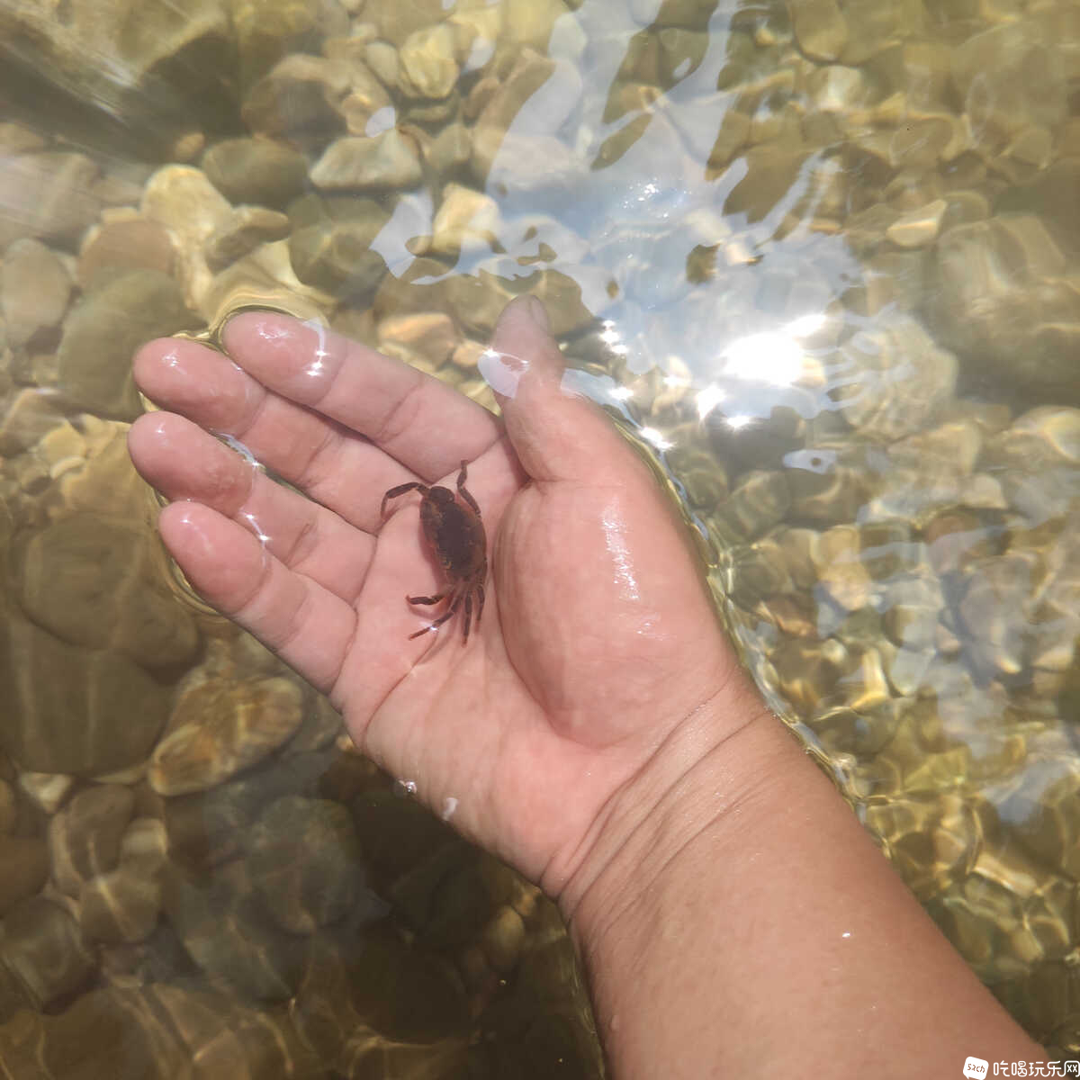 王婆岩游泳跳水潜水好去处